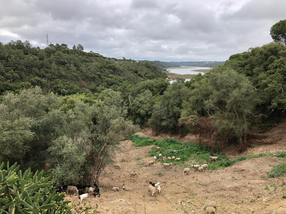 Herdade Do Freixial - Turismo Rural Vila Nova de Milfontes Ngoại thất bức ảnh